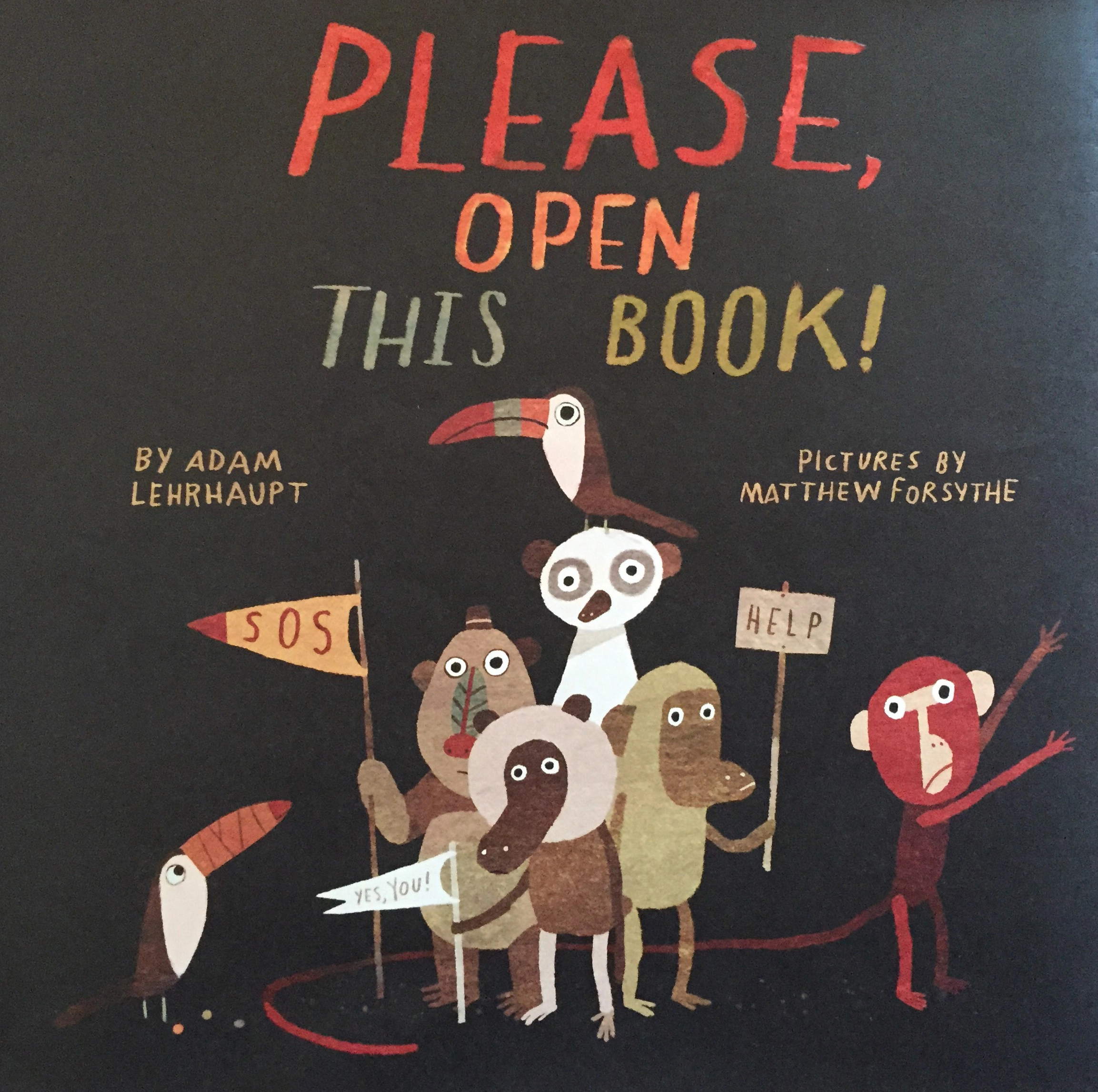 Cover of Please, Open This Book!